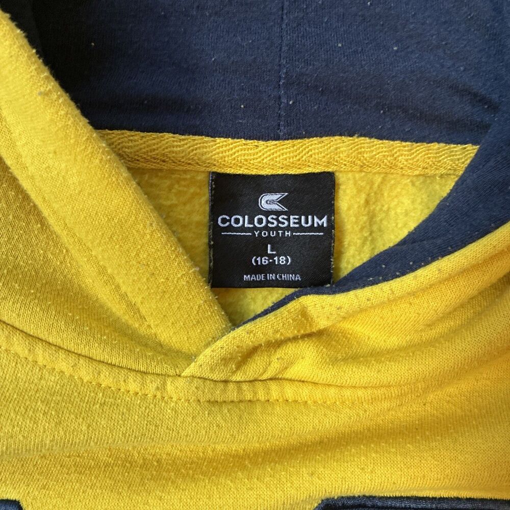 Michigan Wolverines Big Logo Youth Colosseum Volume Fleece Pullover Hoodie Sz L - Picture 3 of 12
